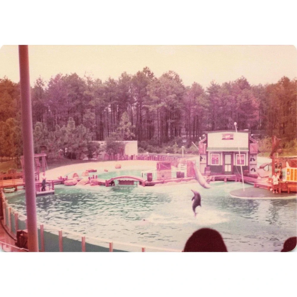 Vintage 1970s Six Flags Great Adventure Orca Water-Ski Show Photo Lot of 11 - Picture 5 of 11